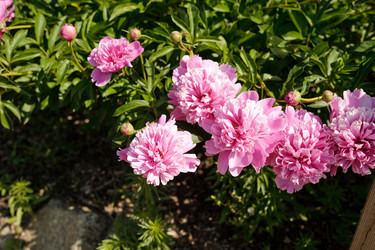 Similar image 22215773