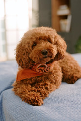 Similar image 22215969