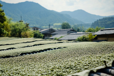 Similar image 22221041