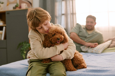 Similar image 22215967