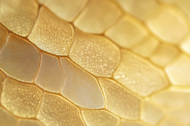 Similar image 22221582