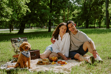 Similar image 22216656