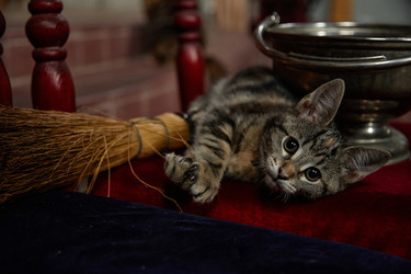 Similar image 22213154