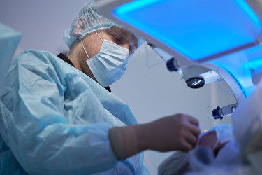 Similar image 22212530