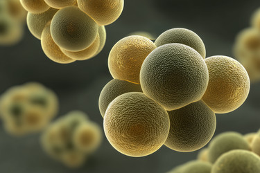 Similar image 22221539