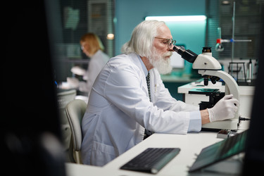 Similar image 22213033