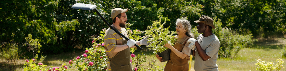 Similar image 22215819