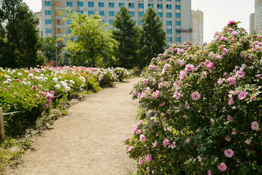 Similar image 22215770