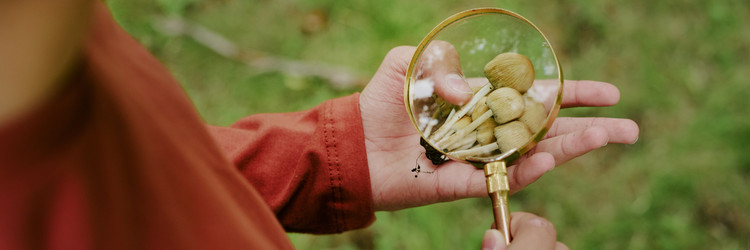 Similar image 22216951