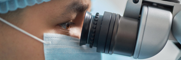 Similar image 22212524