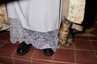 Similar image 22213203