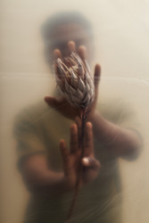 Similar image 22218756