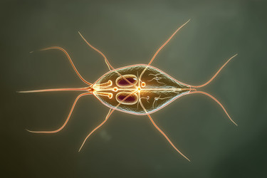 Similar image 22221456