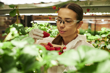 Similar image 22219008