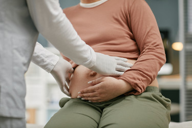 Similar image 22212262