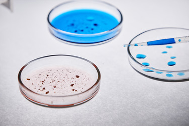 Similar image 22213008