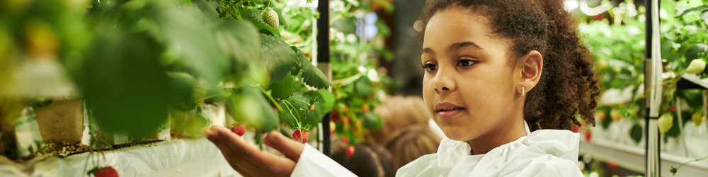 Similar image 22219065