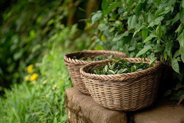 Similar image 22221042