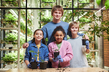 Similar image 22219056