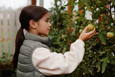 Similar image 22212811