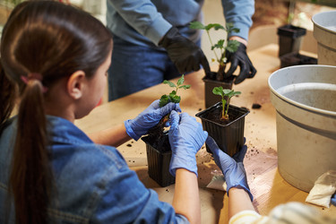 Similar image 22219033