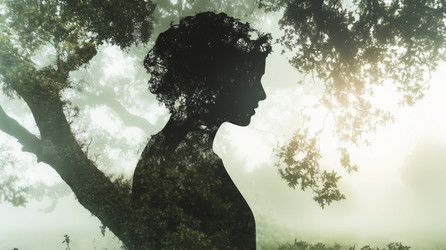 Similar image 22221655