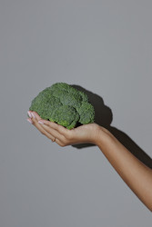 Similar image 22213668