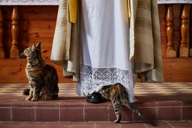 Similar image 22213202