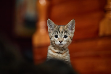 Similar image 22213156