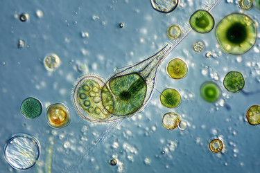 Similar image 22221585