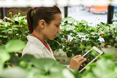 Similar image 22219024