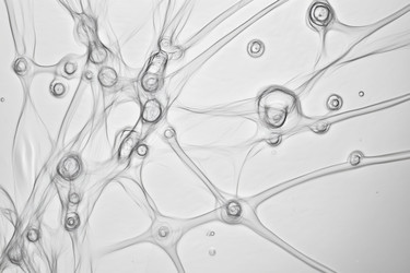 Similar image 22221602