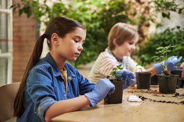 Similar image 22219043