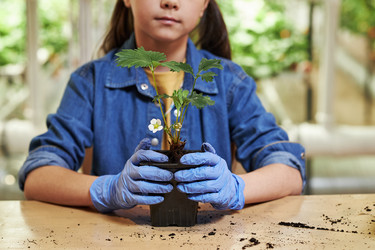 Similar image 22219049