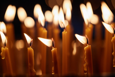 Similar image 22213239