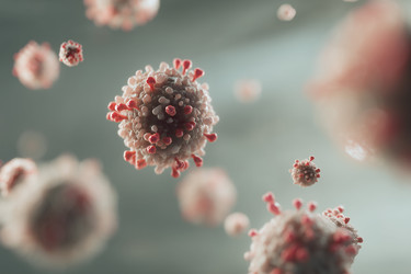 Similar image 22221473