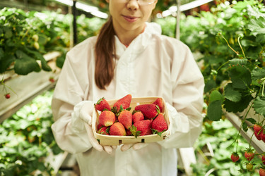 Similar image 22219141