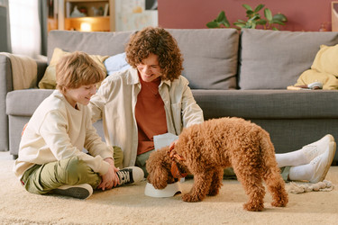 Similar image 22215986