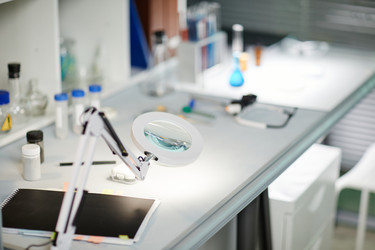 Similar image 22213025