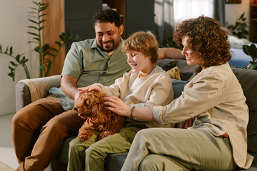 Similar image 22215954