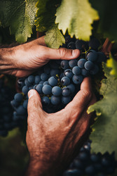 Similar image 22242334