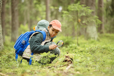 Similar image 22238359