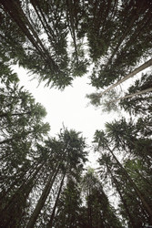 Similar image 22238292