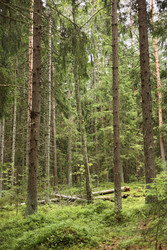 Similar image 22238294