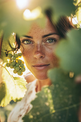 Similar image 22242339