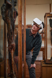 Similar image 22238287