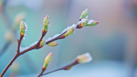 Similar image 22242256