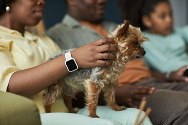 Similar image 22240664