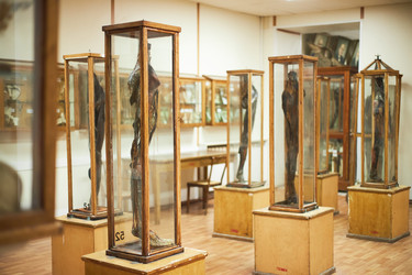 Similar image 22238234