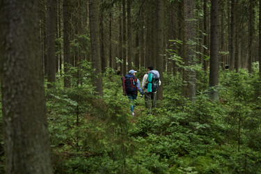 Similar image 22240880